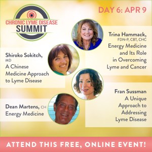 The Chronic Lyme Disease Summit