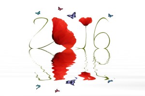 canstockphoto31796652